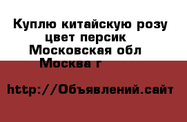 Куплю китайскую розу цвет персик - Московская обл., Москва г.  »    